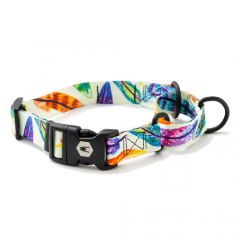 FEATHEREDFRIEND_COLLAR_MARTINGALE4