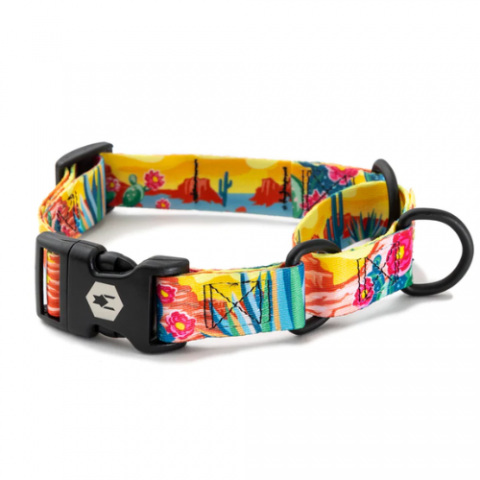 PACKLEADER_COLLAR_MARTINGALE1